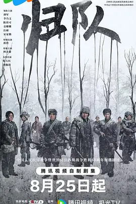 电视剧《归队》｜在线观看免费完整版-无删减