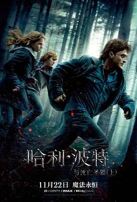 《哈利・波特与死亡圣器（上）》2010 电影 | 百度网盘 （奇幻、冒险）